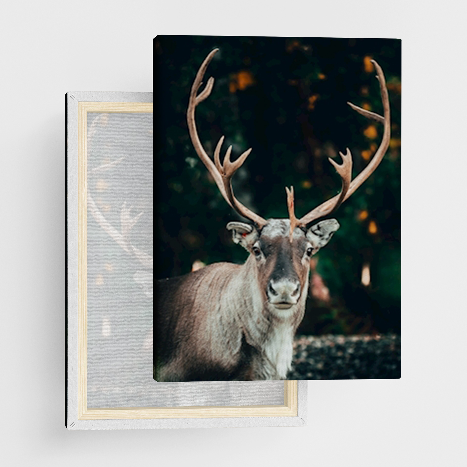 Canvas Print "Reinlycka"