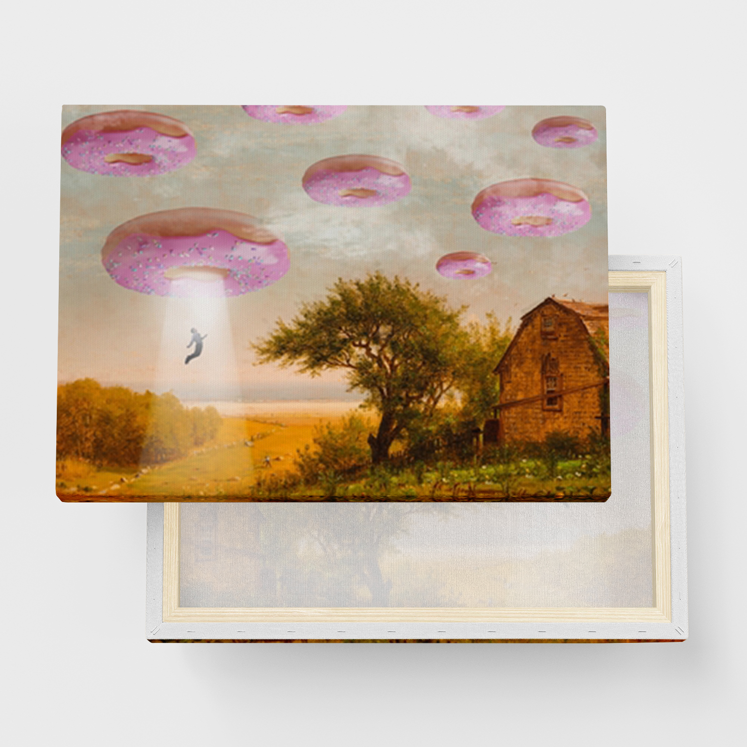Canvas Tavla "Donut invasion" - Ramspänd canvas-tavla i flera storlekar