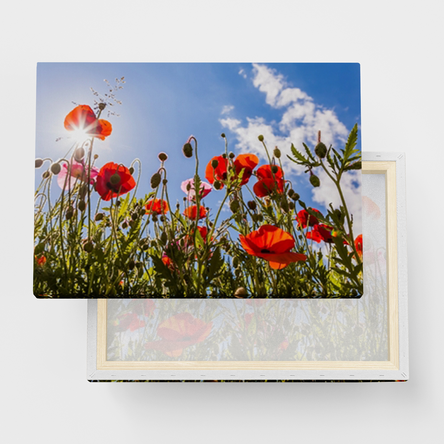 Canvas Print "" - High-Quality Canvas in Several Sizes