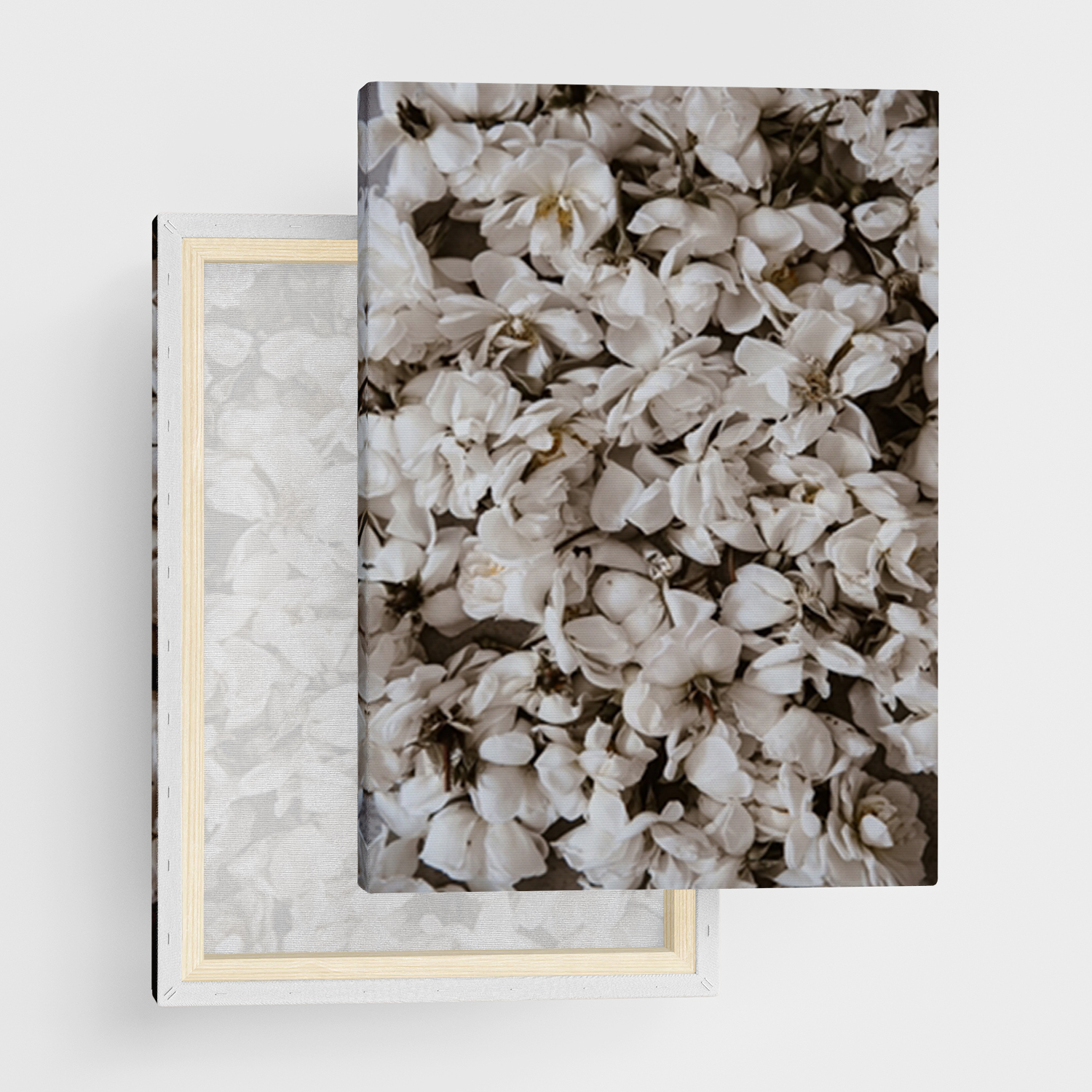 Leinwandbild "Flowerbomb"