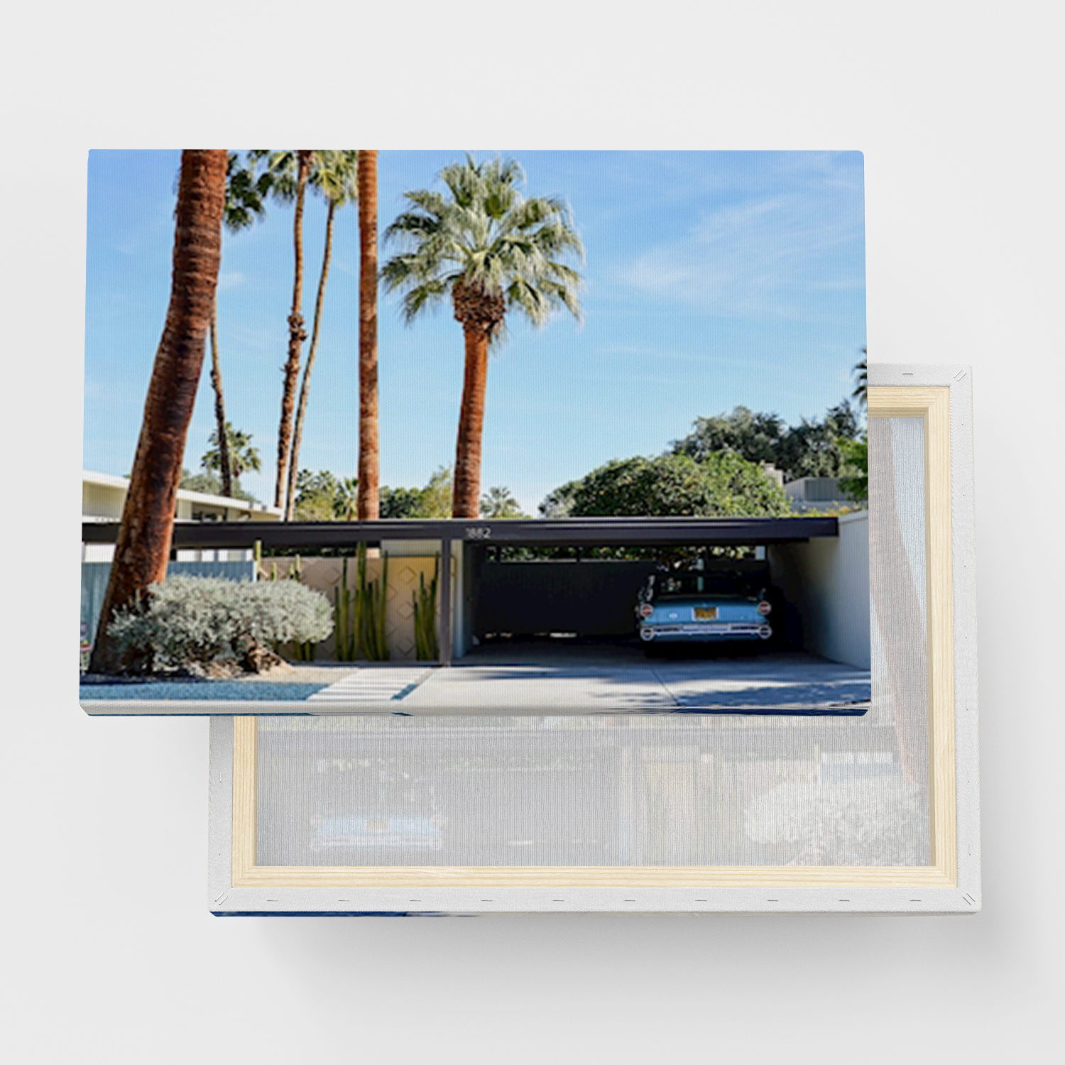 Lerret "Palmekilder" - Canvas Maleri i forskjellige størrelser