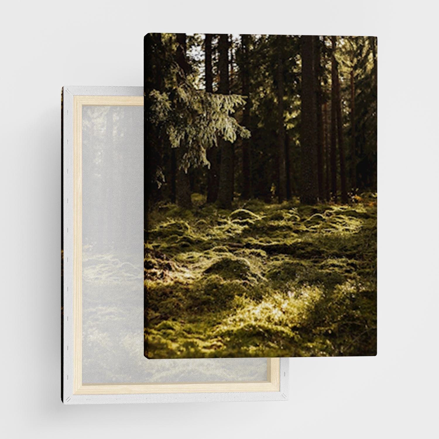 Canvas Tavla "Svensk skog" - Ramspänd canvas-tavla i flera storlekar