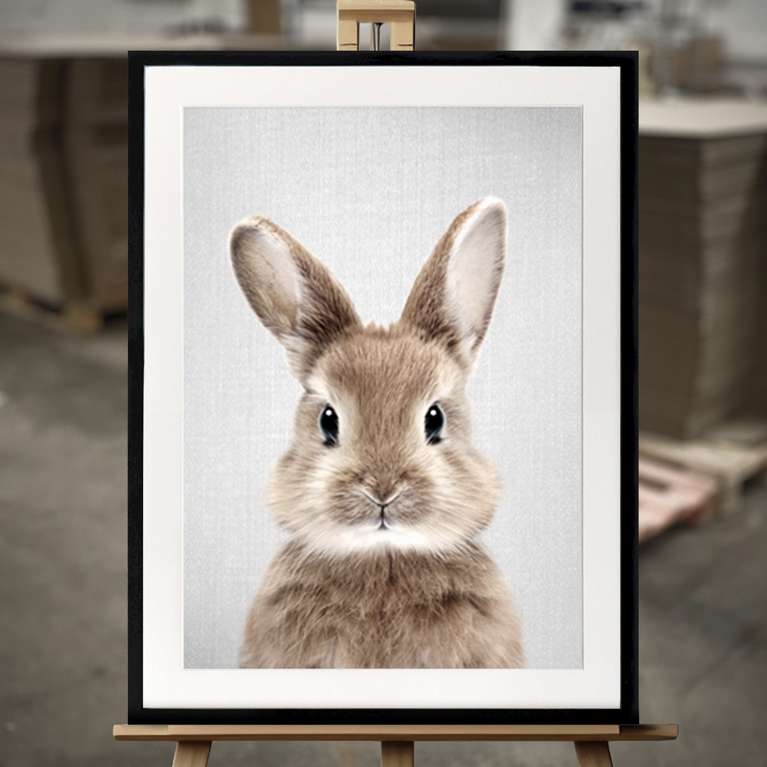 Obraz w ramce "Baby Rabbit" - wydruk artystyczny w formacie 50x70