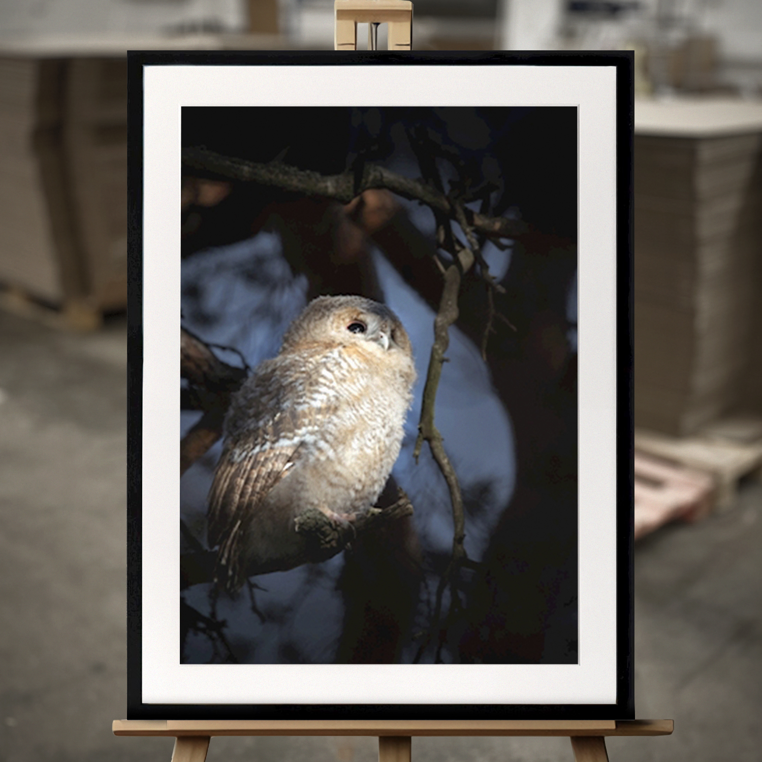 Art Prints Encadrés "Hibou à la lumière du matin" - Impression d'Art en 50x70