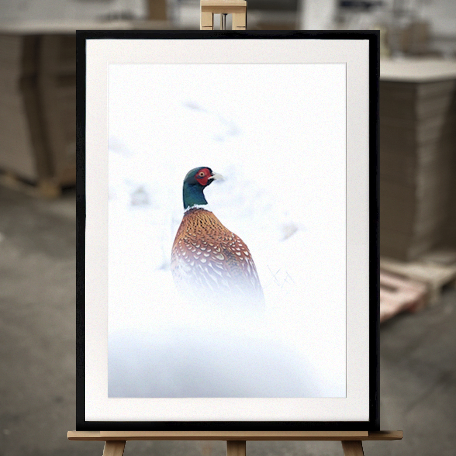 Framed Fine Art "Winter Pheasant" - Fine Art Print in 50x70 cm