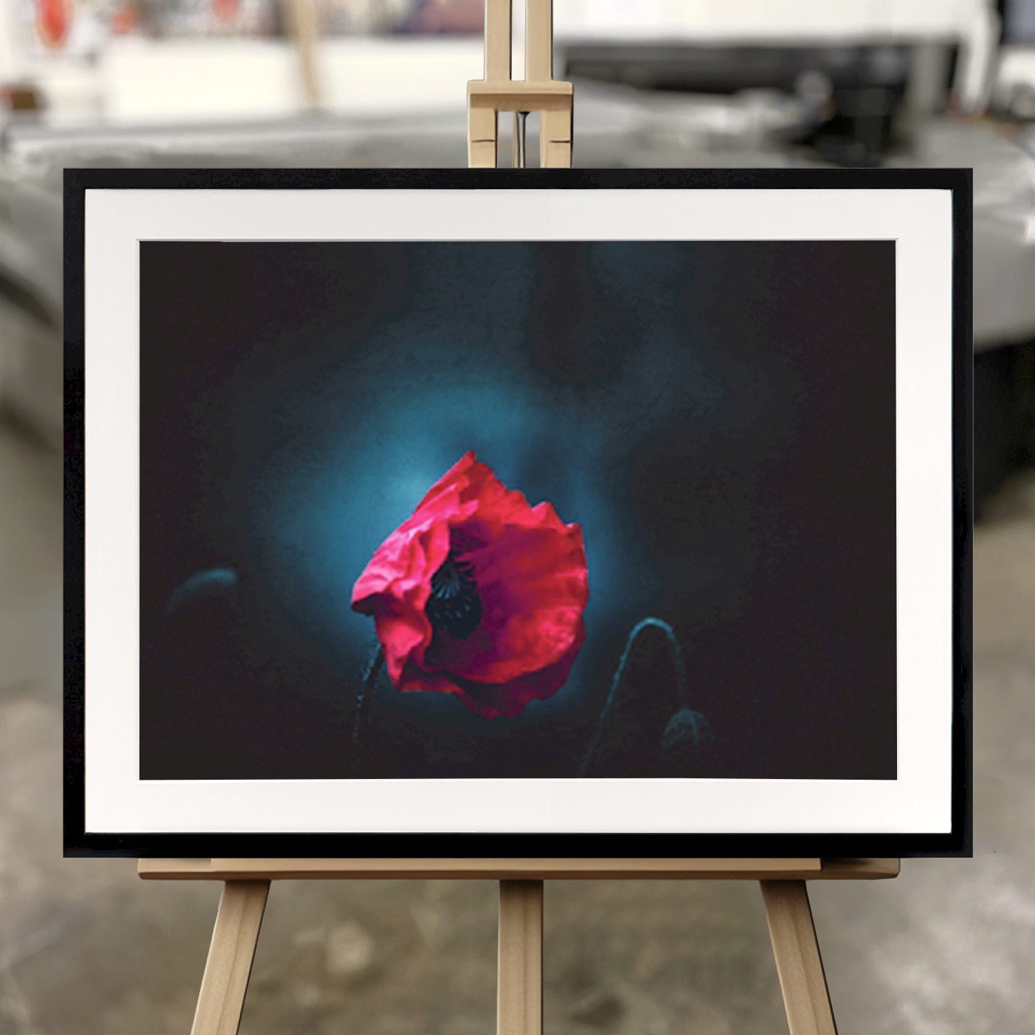 Fine Art Print "Valmuefrø om natten" - Innrammet Bilde i 50x70 cm