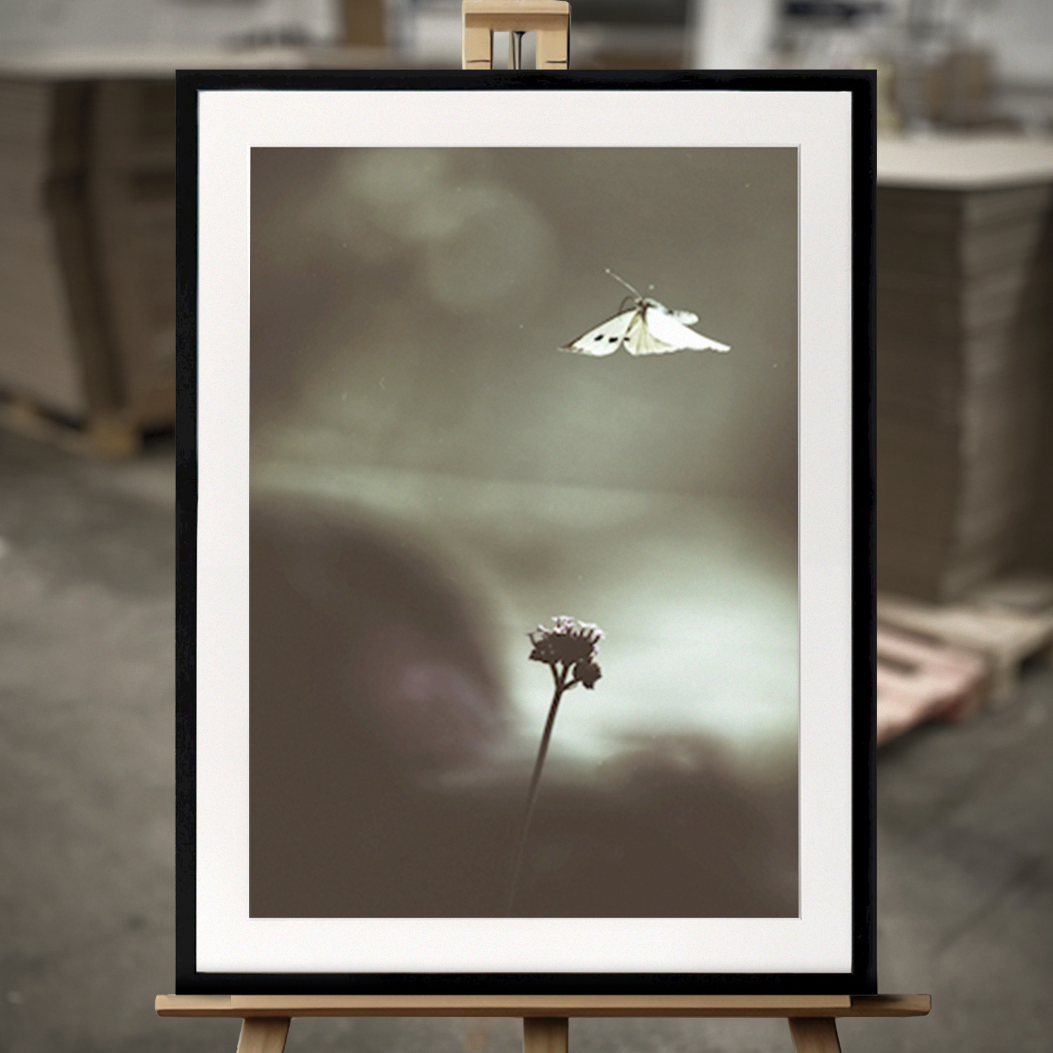 Framed Fine Art "Volant II" - Fine Art Print in 50x70 cm